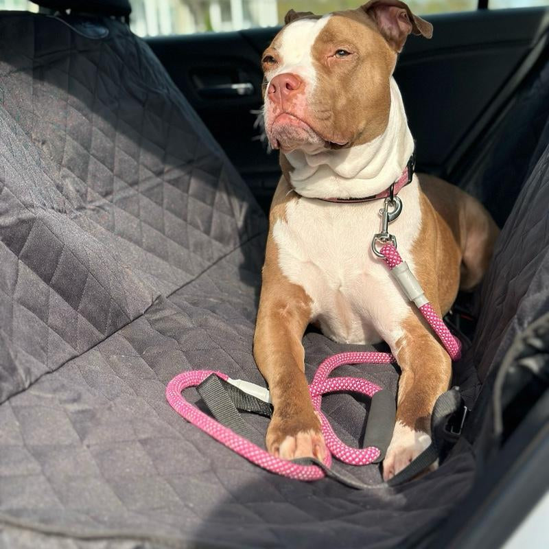 PupShield™ Waterproof Dog Car Seat Cover – Non-Slip Hammock with Dual Leash Attachments for Safe Rides