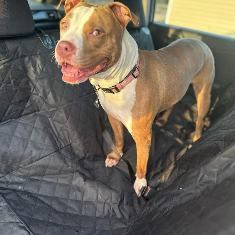 PupShield™ Waterproof Dog Car Seat Cover – Non-Slip Hammock with Dual Leash Attachments for Safe Rides