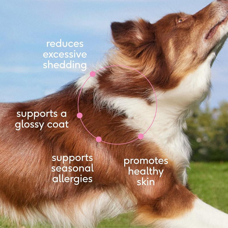 Native Pet Skin+Coat Chews™ for Dogs