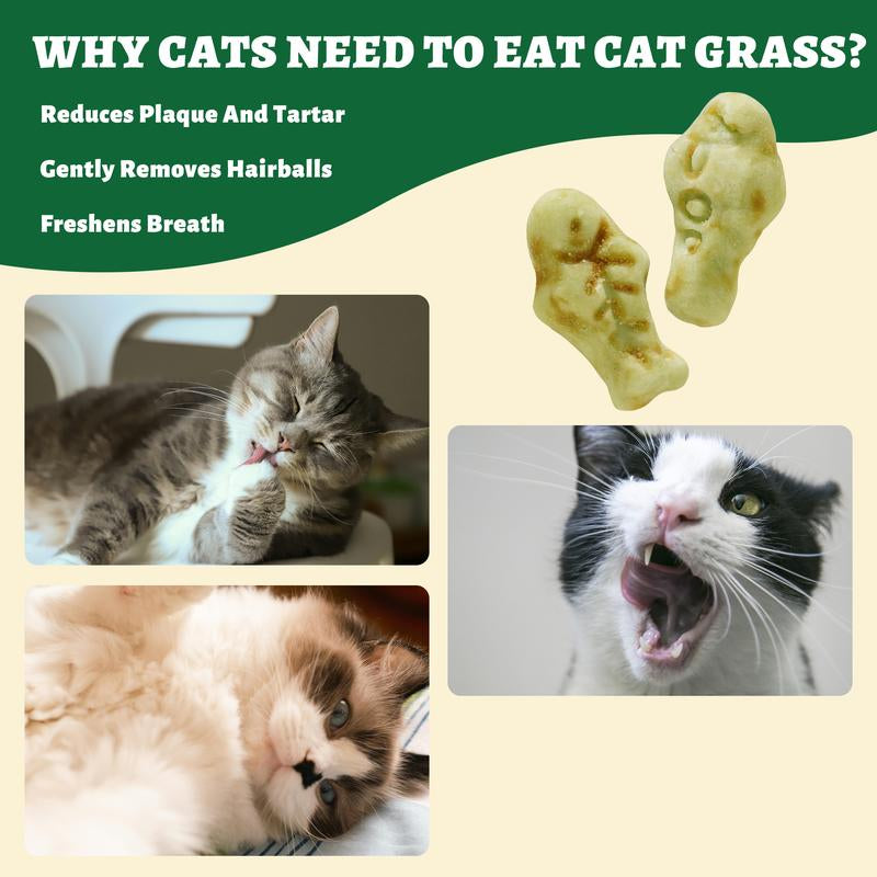 Natural Teeth Cleaning Cat Grass Treats™
