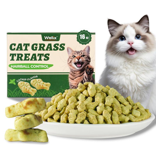 Natural Teeth Cleaning Cat Grass Treats™